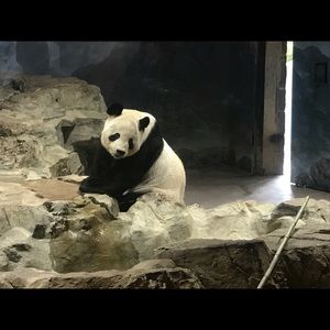 Meet your Posher, Fabio